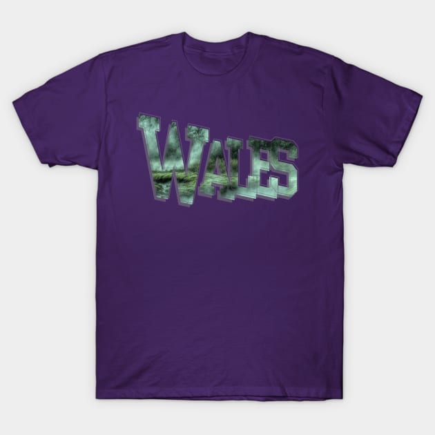 Wales T-Shirt by afternoontees